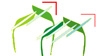 Logo van Stichting Tuinbouw Emmen